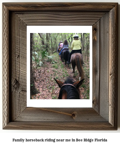 family horseback riding near me in Bee Ridge, Florida